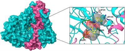 Strategies to Improve the Biosynthesis of β-Lactam Antibiotics by Penicillin G Acylase: Progress and Prospects